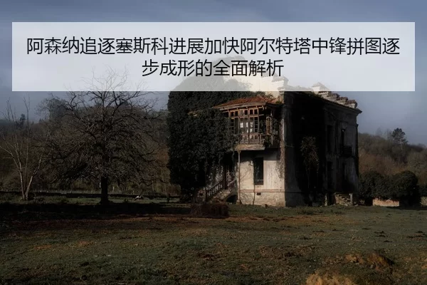 阿森纳追逐塞斯科进展加快阿尔特塔中锋拼图逐步成形的全面解析