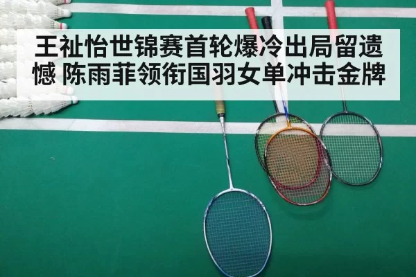 badminton match court