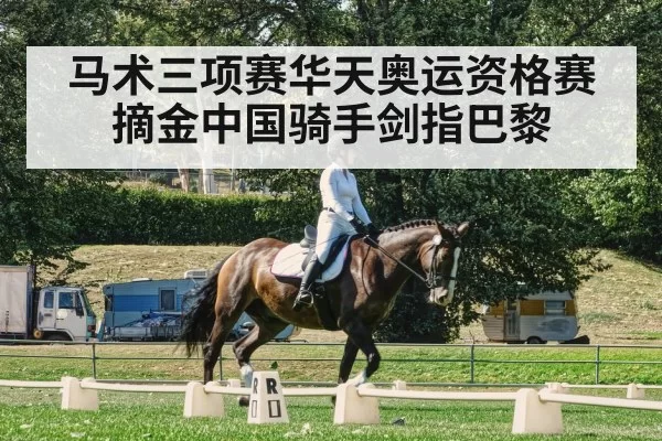 马术三项赛华天奥运资格赛摘金中国骑手剑指巴黎