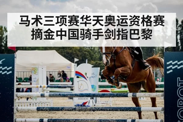 show jumping horse