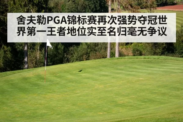 舍夫勒PGA锦标赛再次强势夺冠世界第一王者地位实至名归毫无争议